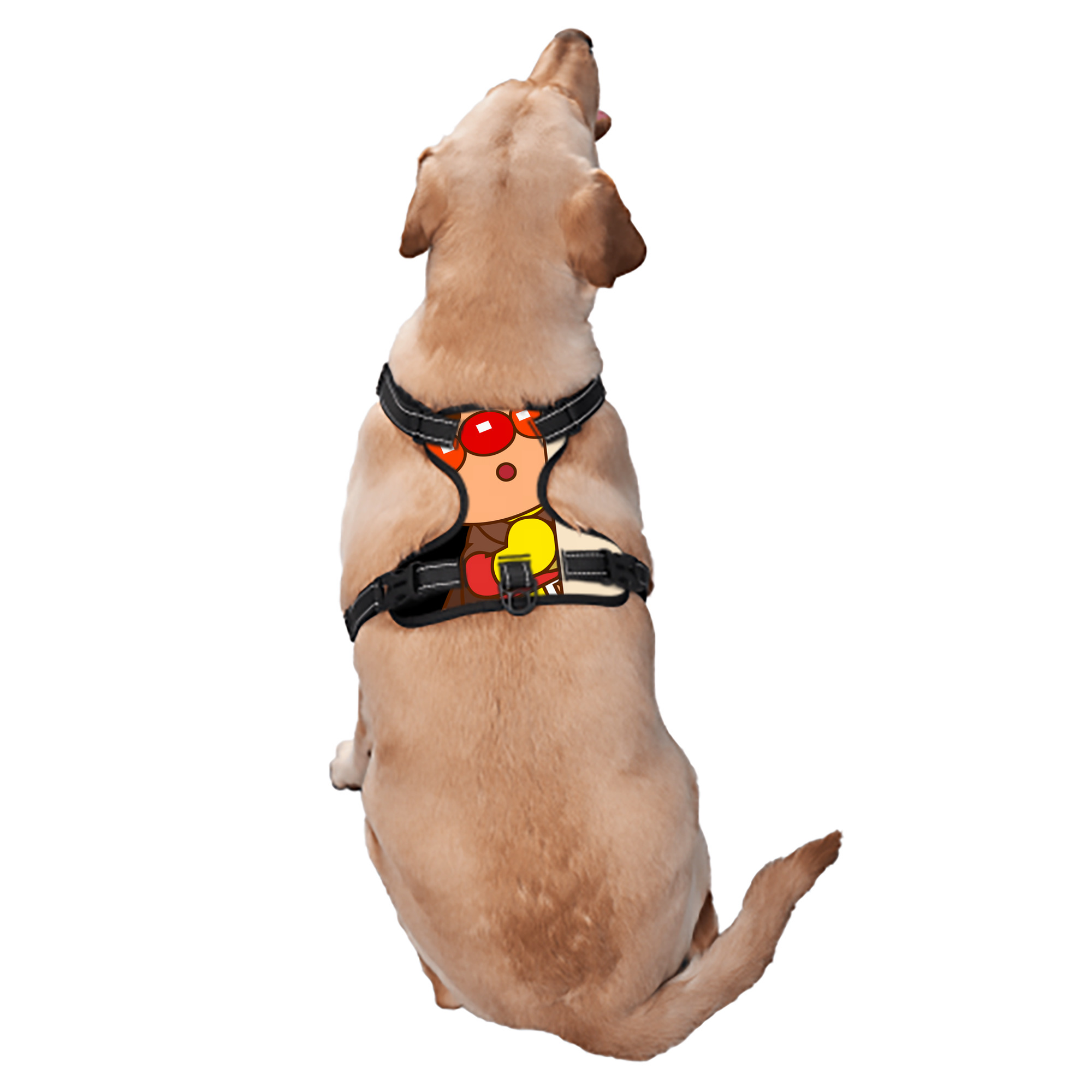 （画像用） アンパンマン Anpanman ペット用ハーネス